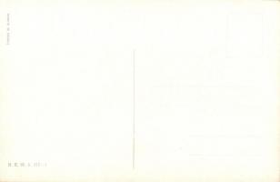 K.u.K. Infanterie Offizier B.K.W.I. 217-1 s: Schönpflug