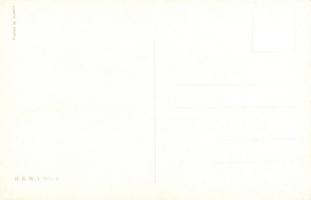 K.u.K. Ulanen Offizier B.K.W.I. 217-2 s: Schönpflug