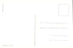 Der Herr Leutnant / K.u.K. Infanterie, lieutenant B.K.W.I. 530-2 s: Schönpflug