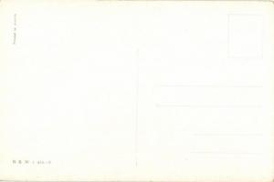 K.u.K. guard B.K.W.I. 459-3 s: Schönpflug