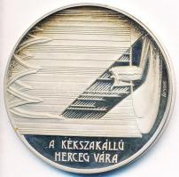 Fülöp Zoltán (1951-) 1981. "Bartók Béla / A Kékszakállú Herceg vára" Ag emlékérem ÁPV plas...