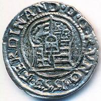 1553 Denár Ag "I. Ferdinánd" (0.53g) T:2