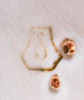 Drasche kancsó, fehér mázas, jelzett, hibátlan, m:18 cm