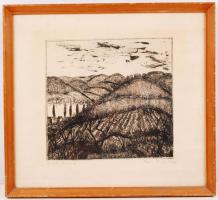 Weisz Zsuzsa (1925-): Dombok. Rézkarc, papír, üvegezett keretben, 25×27 cm