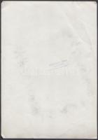 1943 Tiszavölgyi József : Budapest, Harsányi Zsolt (1887-1943) író, újságíró, műfordító színigazgató...