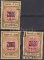 1923 Kaposvári városi illetékbélyeg 2000K 3 db