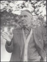 cca 1965 Áprily Lajos (1887-1967) portré felvétele, jelzetlen  fotó Kotnyek Antal (1921-1990) fotóriporter hagyatékából, későbbi nagyítás, 24x18 cm