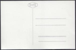 cca 1965 Szöllősy Kálmán (1887-1976) két portré felvétele, vélhetően a felesége készítette a felvéte...