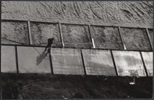 cca 1970-1980 Zsigri Oszkár: Locsoló, vintage fotóművészeti alkotás a szerző hagyatékából, 16x24 cm