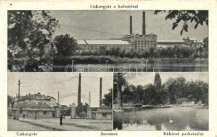 Szerencs, Cukorgyár, halastó, Rákóczi park (kis szakadás / small tear)