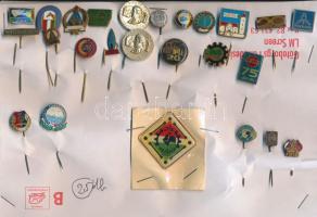 25db vegyes magyar és külföldi kitűző és jelvény, közte "Győri Mezőgép", "Vízügyi Törzsgárda 10 éves", "Riga", "Magyar Lóverseny Vállalat" T:vegyes