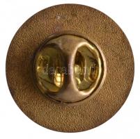 DN "Magyarok Világszövetsége" zománcozott fém jelvény T:2