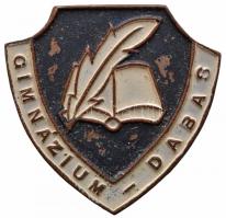 ~1960. "Gimnázium - Dabas" festett Br jelvény T:2,2-