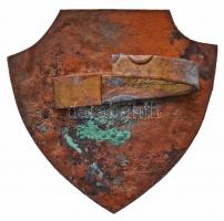 ~1960. "Gimnázium - Dabas" festett Br jelvény T:2,2-