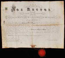 1918 Latin nyelvű, vászon, Állam és jogtudomány Doctori Diploma. Fölülbélyegezve K. M. Tud. Egyetemi Rectori Hivatal. Szép állapotú 7,5cm átmérőjű függőpecséttel illetve 3 koronás illetékbélyeggel, ellátva. Budapest.  49,5x66cm
