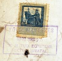 1918 Latin nyelvű, vászon, Állam és jogtudomány Doctori Diploma. Fölülbélyegezve K. M. Tud. Egyetemi...