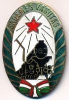 ~1960-1970. "Érdemes Vasutas" zománcozott Br jelvény eredeti tokban T:2