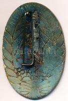 ~1960-1970. "Érdemes Vasutas" zománcozott Br jelvény eredeti tokban T:2