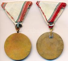 ~1970. "A Haza Fegyveres Szolgálatában" 25 év után mellszalagon (2x) T:2