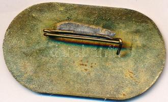 1983. "XXVII. Barátság Nemzetközi Atlétikai Verseny - Veszprém" Br jelvény T:2