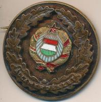 DN "Államerdészet" zománcozott fém jelvény, sorszámozott (40mm) T:2 forrasztásnyom hátoldalán