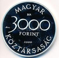 2000. 3000Ft Ag "Veszélyeztetett állatvilág - hód" T:PP