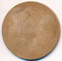 DN "Nyugat-magyarországi Egyetem Mezőgazdaság- és Élelmiszertudományi Kar 1818" Br emlékér...