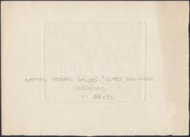 Nemes Török János (1900?-1980): Batyubuli!  Rézkarc, papír, jelzett. 9x11,5cm