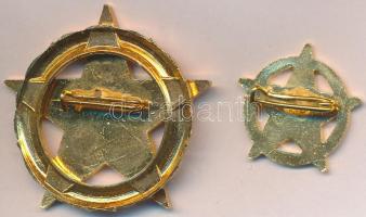 ~1970. "A Belkereskedelem Kiváló Dolgozója" aranyozott zománcozott kitüntetés miniatűrrel ...