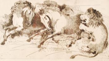 Pituk József Viktórián (1906-1991): Menekülő vadlovak. Rézkarc, papír, jelzett, üvegezett keretben, ...