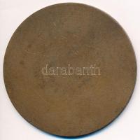 Vincze Dénes (1924-1972) ~1980. "A Vállalat Kiváló Brigádja" Br plakett tokban (70mm) T:1