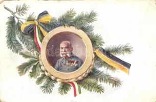Franz Joseph, Viribus Unitis propaganda
