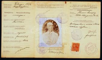 1920 Gyógyszerész számára kiállított igazoló jegy fényképpel, okmánybélyeggel