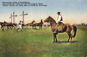 Hortobágy, Pányvavető csikós (ázott sarok / wet corner)