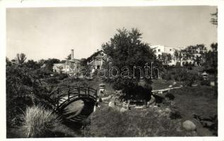 Kolozsvár, Cluj; Botanikus kert / botanical garden