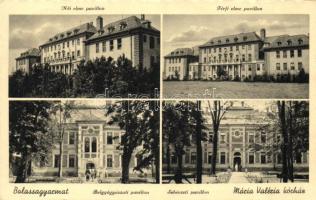 Balassagyarmat, Mária Valéria Kórház részletek