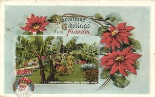 Florida City, christmas greetings, Santa Claus, Banana tree and bearing fruit (b)