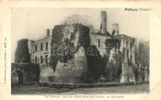 Palluau, Chateau / castle