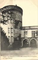 La Flocelliere, Chateau le Donjon / castle