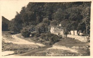 Óbányai-völgy, Mecsek, vízimalom