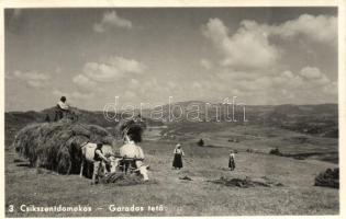 Csíkszentdomokos, Garados tető, aratás / harvest, folklore