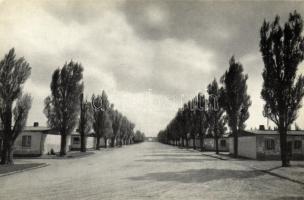 Dachau concentration camp, Main road throught the camp