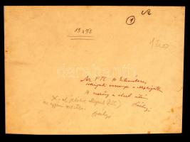 cca 1920-1930 Az FTC 10 kilométeres országúti futóversenye a Népligetben, hátoldalon feliratozva, 24...