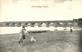 Hortobágy, juhnyáj, folyó, Kilenclyukú híd, Erdélyi foto