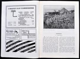 1938 Vegyes nyomtatványok: Székesfőváros állat-és Növénykertje 1938 novemberi száma, XXXIV. évf. Nad...