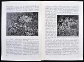 1938 Vegyes nyomtatványok: Székesfőváros állat-és Növénykertje 1938 novemberi száma, XXXIV. évf. Nad...