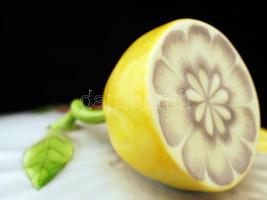 Herendi Viktória mintás étkészlet, kézzel festett, hibátlan, összesen: 26 db / Herendi Victoria dinn...