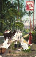 Arabian folklore, camp with camels in the oasis (EK)