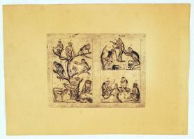 Különféle majomfajták, metszette L. Rieder, rézmetszet, 23×17 cm