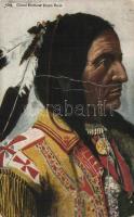 Chief Hollow Horn Bear (b)